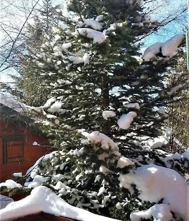 Bippo Pyrenees 2000 Wifi Fibre Bolquère